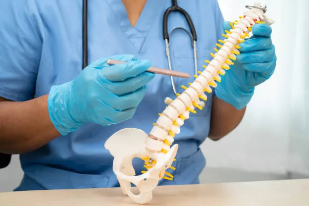 Especialista sostiene una réplica de columna para mostrar los efectos degenerativos causados por la spondylitis