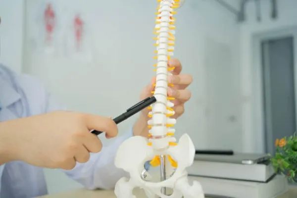 Imagen educativa mostrando áreas de la columna con diferencias entre Protrusión discal vs hernia de disco para mejor comprensión clínica